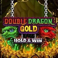Double Dragon Gold: Hold & Win screenshot